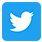 twitter link